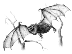 Blood bat (small)