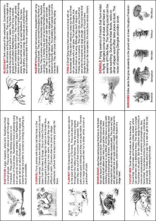 Bookmarks featuring Flora & Fauna (back)