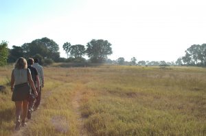 Near death experiences - Okavango Delta, Botswana (bush walk)