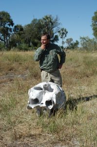 Near death experiences - Okavango Delta, Botswana (bush walk)