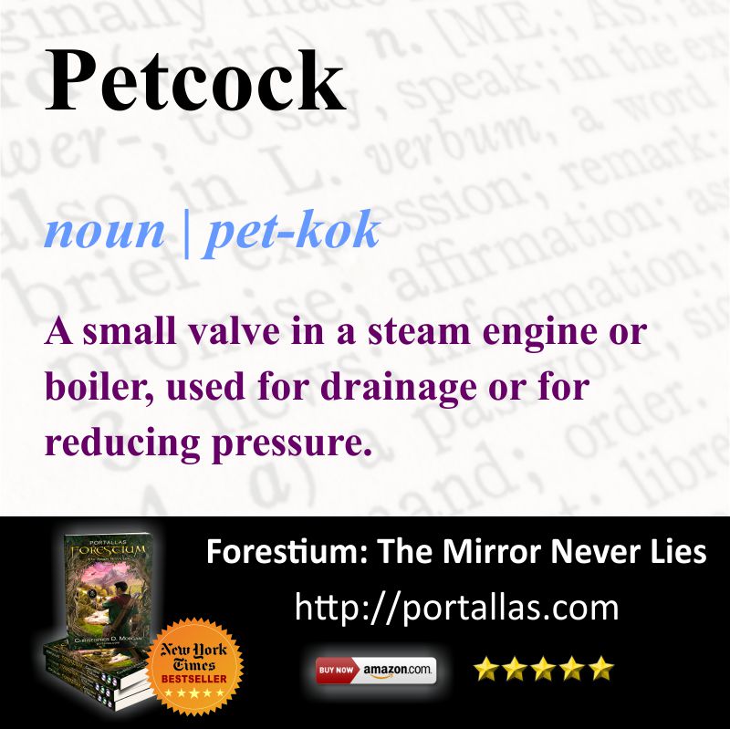 Definition - Petcock
