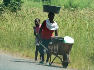 Near death experiences - Swaziland (roadside pedestrians)